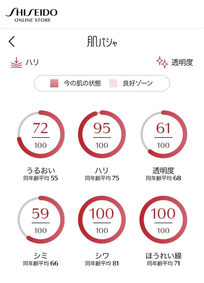 肌診断アプリの測定結果（円グラフ）