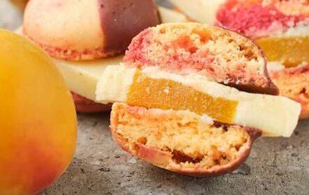 compressed_ABOUT-MA (1)