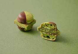 compressed_ABOUT-MA (2)