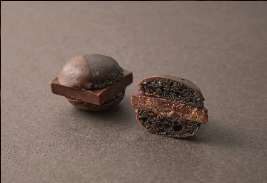 compressed_ABOUT-MA (3)