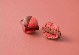 compressed_ABOUT-MA (4)