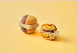 compressed_ABOUT-MA (5)