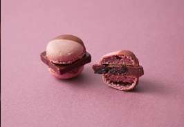 compressed_ABOUT-MA (6)