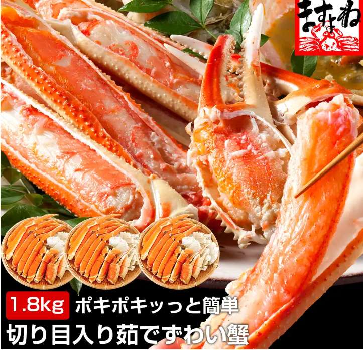 compressed_FireShot (15)